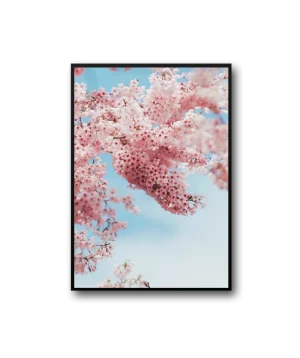 Peach Frame